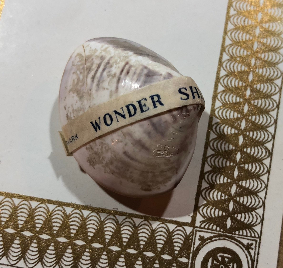 1pc 1950s LITTLE WONDER SHELL Vintage Water Flowers In The Etsy