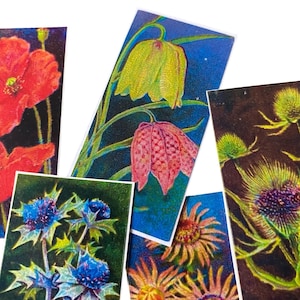 6 Stück VICTORIAN FLOWER STICKERS 6,5 cm Vintage Vinyl Blumendrucke Edwardian Nature Exklusives Design Label Set