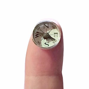 May include: A small, round compass with a silver bezel and a white face. The compass needle points north, and the cardinal directions are labeled N, E, S, and W.