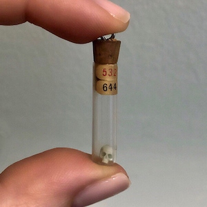 May include: A small glass vial with a cork stopper and a tiny white skull inside. The vial has two labels with the numbers "532" and "644" on them.