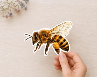 Honey Bee Sticker, Pollinator Cottagecore Garden Bee Lover Decal