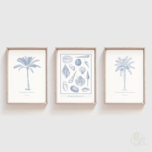Puede incluir: Tres impresiones de arte imprimibles con un esquema de color azul y blanco. Las impresiones presentan ilustraciones de palmeras y conchas marinas con versículos bíblicos. La primera impresión dice "Flourish like the palm tree" Salmo 92:12. La segunda impresión dice "PSALM 104:25". La tercera impresión dice "There are sprigs on the palm tree" Deuteronomio 34:20.