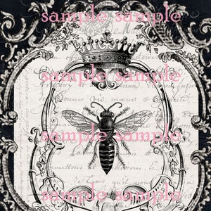 Queen Bee instant Digital Download Printable Bee Art Print Collage Antique Print Transfer Pillow Paper Supply  Save The Bees