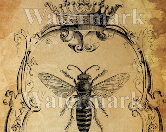 Abeja reina Descarga digital instantánea Impresión artística de abeja imprimible Collage Impresión antigua Transferencia Papel de almohada Suministro Salva a las abejas