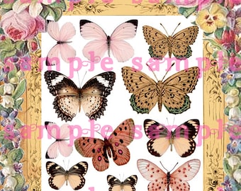 Victorian Butterflies & Roses Digital Download Collage Sheet Florals and Insects Edwardian Paper Crafts Scrapbook Mixed Media Altered Art