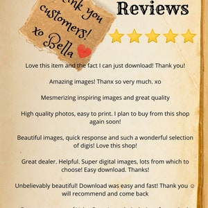 May include: Five star reviews for a digital download shop. The text reads "Thank you customers! xo Bella" and includes five gold stars. The reviews highlight the high quality images, easy download, and quick response time.