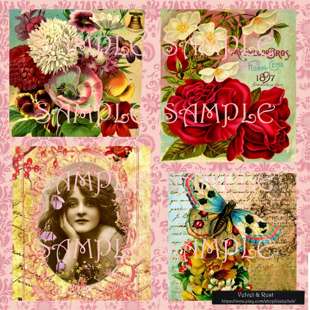 Beautiful Victorian Woman, VINTAGE Antique Photograph DIGITAL DOWNLOAD