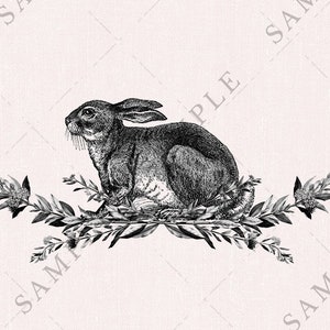 Printable Vintage Illustrated Easter Bunny with Botanical Frame, Antique Victorian Rabbit Clip Art, Hare Digital Graphics, Pink Shabby Chic