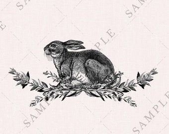 Printable Vintage Illustrated Easter Bunny with Botanical Frame, Antique Victorian Rabbit Clip Art, Hare Digital Graphics, Pink Shabby Chic