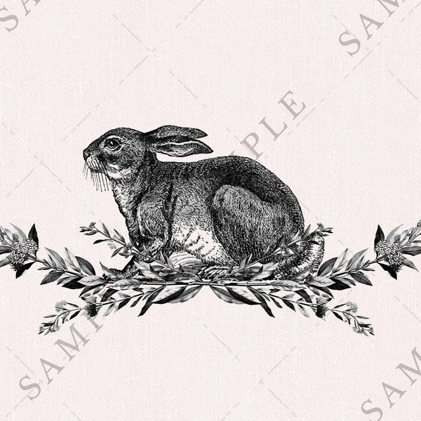 Conejito de Pascua ilustrado vintage imprimible con marco botánico, arte clip de conejo victoriano antiguo, gráficos digitales de liebre, rosa Shabby Chic