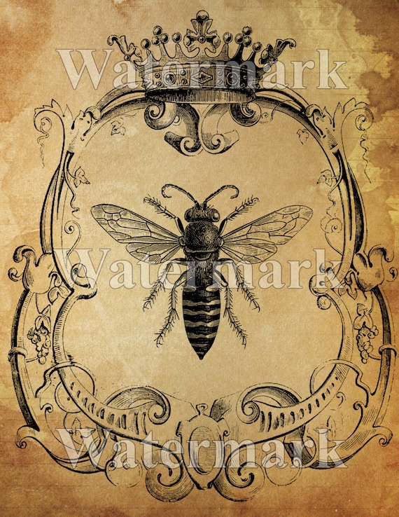 Queen Bee PDF Free Download Queen Bee PDF Free Download