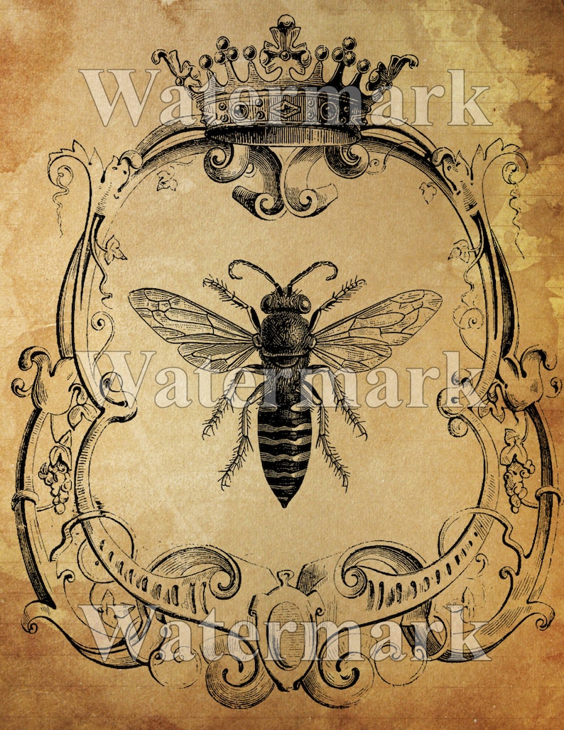 Queen Bee instant Digital Download Printable Bee Art Print Collage Antique Print Transfer Pillow Paper Supply Save The Bees image 1