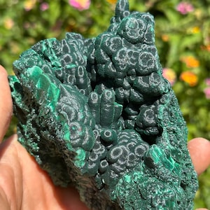 Botryoidaler Samt-Malachit von höchster Qualität mit Stalaktiten-Exemplar! Erstaunliches Prunkstück, großartige metaphysische Eigenschaften. Aus ethischen Gründen