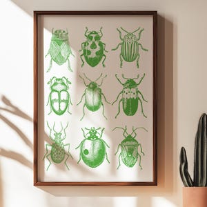Green Beetle Print Vintage Beetle Illustration Insect Poster Vintage Bug Art Print Flora Fauna Print Retro Nature Poster