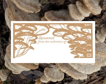 Tan Oyster Mushroom Printable Book Plate - Set of 10 per page - (Ex Libris for label templates measuring 2” x 4”) ID label