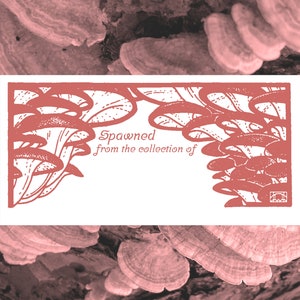 Pink Oyster Mushroom Printable Book Plate - Set of 10 per page - (Ex Libris for label templates measuring 2” x 4”) ID label