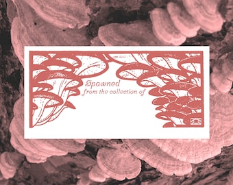 Pink Oyster Mushroom Printable Book Plate - Set of 10 per page - (Ex Libris for label templates measuring 2” x 4”) ID label