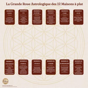 Puede incluir: Un gráfico astrológico marrón y beige con el título "La Grande Roue Astrologique des 12 Maisons à plat" en francés. El gráfico se divide en 12 secciones, cada una etiquetada con un número de casa y una frase en francés.