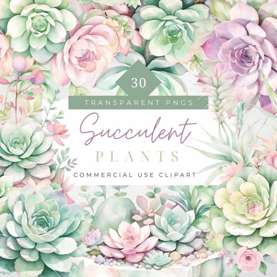 Watercolor Succulent Clipart Desert Graphics Succulent Bouquet ...
