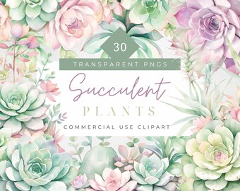 Watercolor Succulent Clipart Desert Graphics Succulent Bouquet Gardening Clipart Pastel Watercolor Succulent PNG Digital Download
