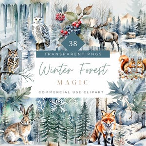 Acuarela acogedora imagen prediseñada de bosque de invierno, bosque nevado, bosque de pinos, imágenes prediseñadas de bosque nevado, creación de tarjetas navideñas, papelería forestal