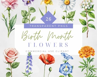Birth Month Flower Clipart Watercolor Graphics Floral Set Flower png Bundle Birth Month Flowers Gift Instant Download Unlimited License