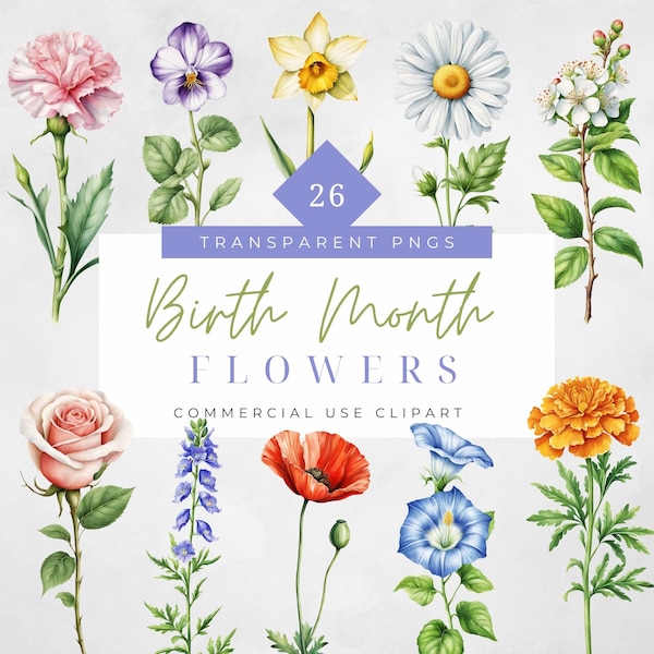 Birth Month Flower Clipart Watercolor Graphics Floral Set Flower png Bundle Birth Month Flowers Gift Instant Download Unlimited License