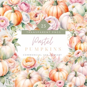 Aquarelle pastel citrouille citrouilles pastel couleur pastel Clipart automne confortable clipart automne frontière action de grâces png cottagecore citrouille graphiques