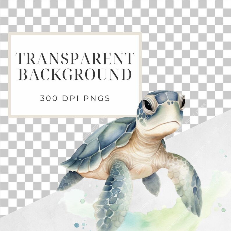 Sea Turtle Clipart PNG, Watercolor Turtle, Undersea Ocean Clip Art ...