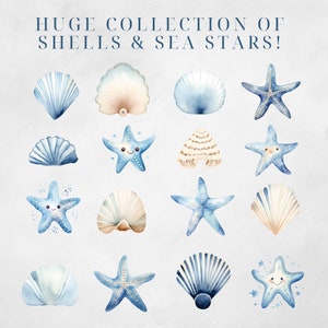 May include: A collection of watercolor illustrations of seashells and starfish. The shells are in shades of blue and white, while the starfish are blue with smiling faces. The illustrations are on a light gray background.