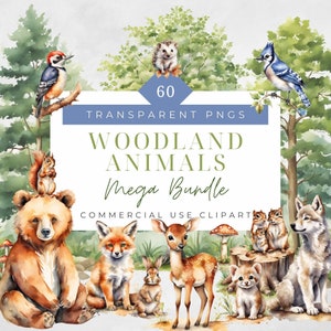 Woodland Nursery Forest Baby Animals Clipart Forest Animals Clip Art Printable Woodlands png Woodland Animals Watercolor Clipart Deer Fox