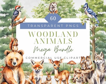 Woodland Nursery Forest Baby Animals Clipart Forest Animals Clip Art Printable Woodlands png Woodland Animals Watercolor Clipart Deer Fox
