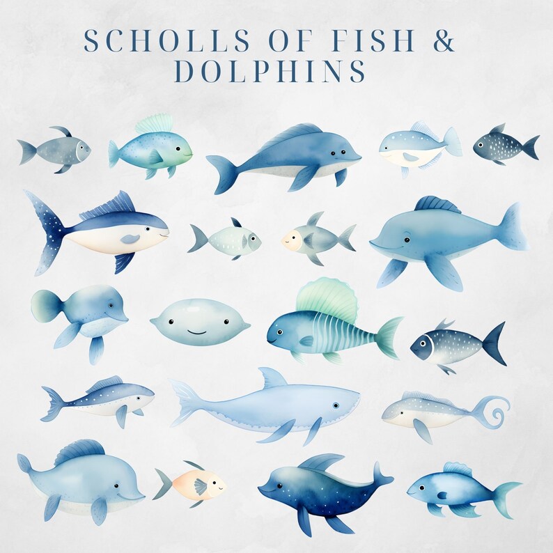 May include: A watercolor illustration of a school of fish and dolphins. The fish are blue and white, and the dolphins are blue. The illustration is on a white background with the text "Schools of Fish & Dolphins" at the top.