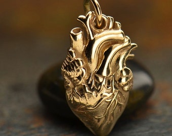 Bronze anatomically correct heart - human heart