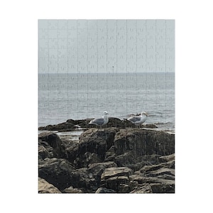 Puzzle (110, 252, 520, 1014-piece) Seagulls waiting for the tide to come in, a favorite beach spot in Kennebunk, Maine
