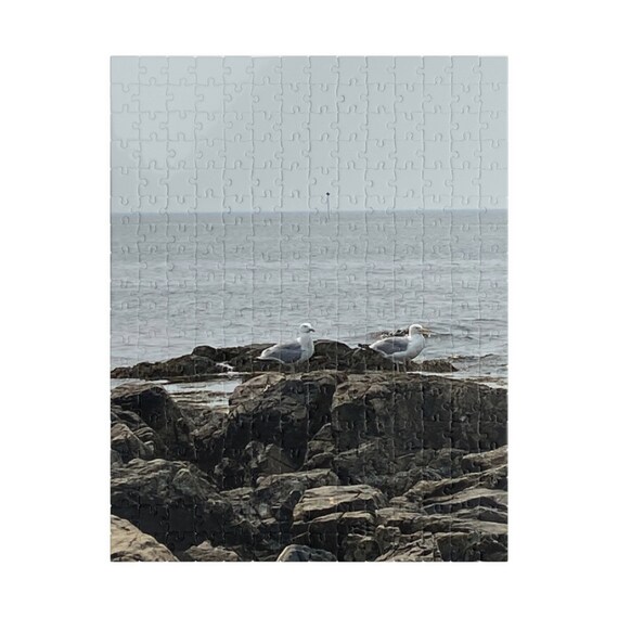 Puzzle (110, 252, 520, 1014-piece) Seagulls waiting for the tide to come in, a favorite beach spot in Kennebunk, Maine