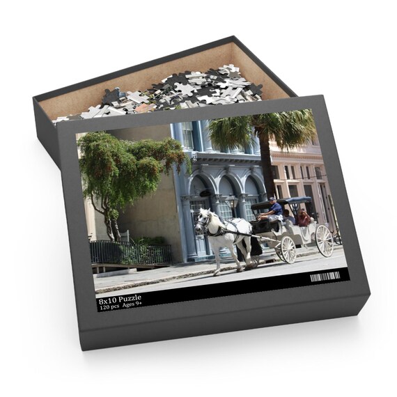 Charleston South Carolina Queen Street & Meeting Street puzzle game for family entertainment and fun (120,252,500-piece)