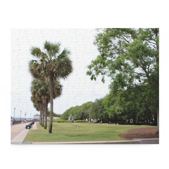 Charleston SC historical walkway Puzzle (120, 252, 500-Piece) Waterfront Park