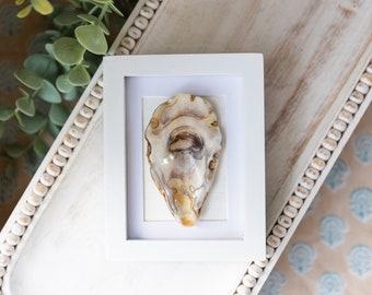 Handmade Oyster Shell Art Decor Gift