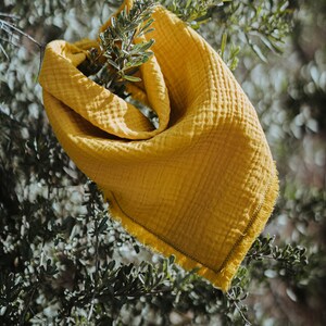 May include: A yellow cotton muslin bandana with frayed edges hanging on a green bush.