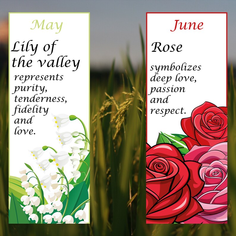 Birth Flower Digital Bookmarks 12 Month Set Perfect Gift Instant Print