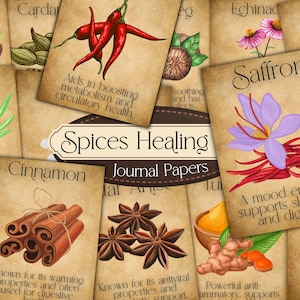 Vintage Spice Cards Apothecary Spice Healing Journal Pages Vintage Spice Illustrations Herb Education Print Kitchen Herb Poster Spice Guide