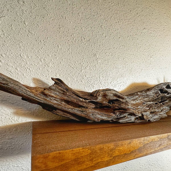 Driftwood Art Sculpture | "Fire in the Hole" | Finished Driftwood | Wall Art | Mantel Art | Gifts | Aquarium/Terrarium | Natural Wood