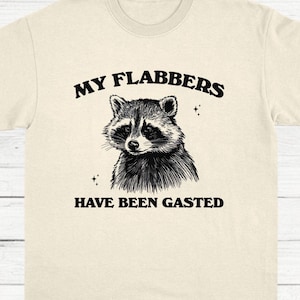 Mój Flabbers Have Been Gasted Vintage Shirt, Retro Cartoon T Shirt, Raccoon T Shirt, Funny Meme T-Shirt, Trash Panda Tee, Unisex T Shirt