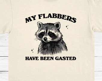 Meine Flabbers sind Gasted Vintage Shirt, Retro Cartoon T Shirt, Waschbär T Shirt, lustiges Meme T-Shirt, Trash Panda T-Shirt, Unisex T-Shirt