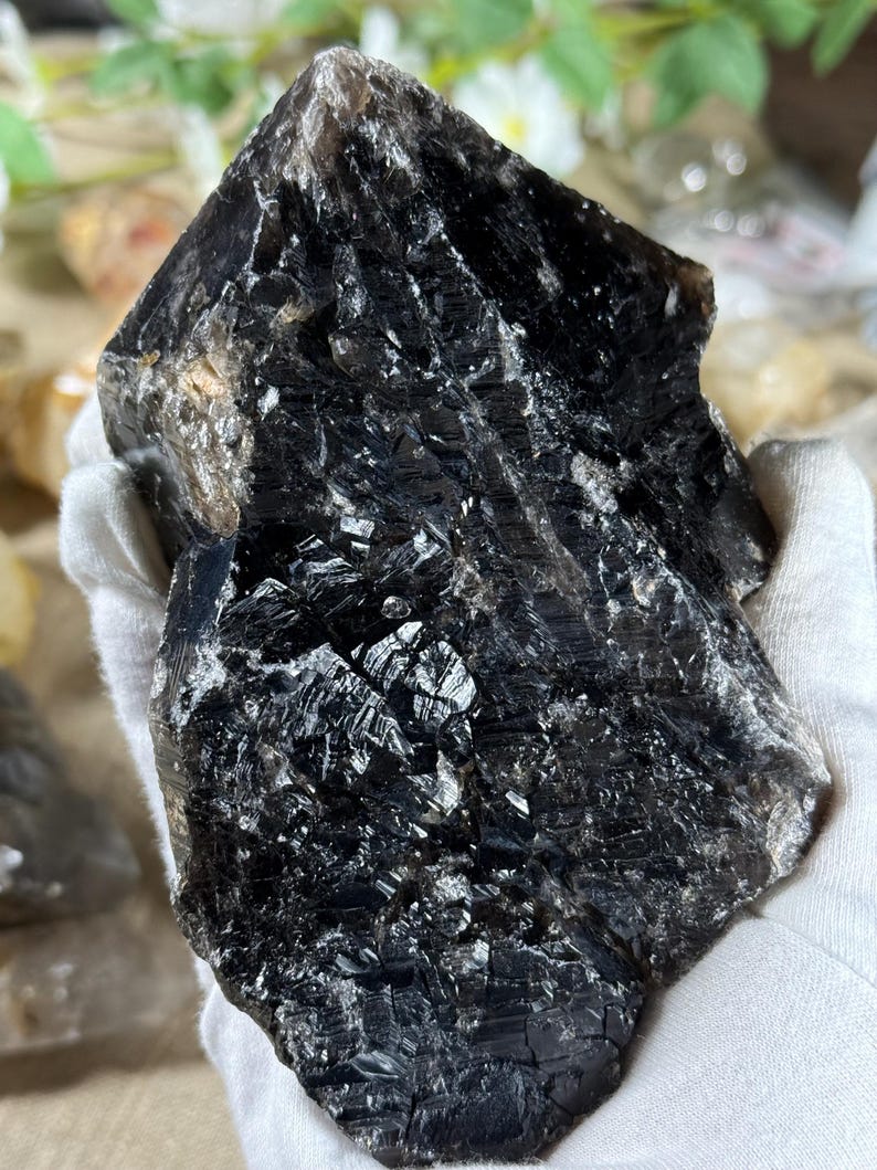 May include: A large, raw, smoky quartz crystal with a dark, almost black color. The surface has a rough, textured appearance with reflective, crystalline facets. The crystal is held in a gloved hand, showcasing its natural form and unique characteristics.