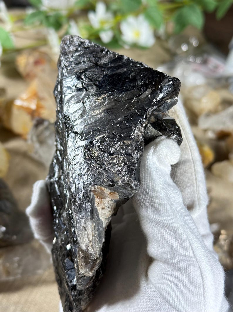 May include: A large, raw black crystal with a shiny, reflective surface. The crystal is held by a gloved hand, showcasing its rough texture and natural form. The crystal has a small section of lighter-colored material.