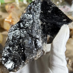 May include: A large, rough-hewn black crystal with a reflective, textured surface. The crystal is held by a gloved hand, showcasing its dark, shimmering facets. The natural mineral formation has a jagged, irregular shape.