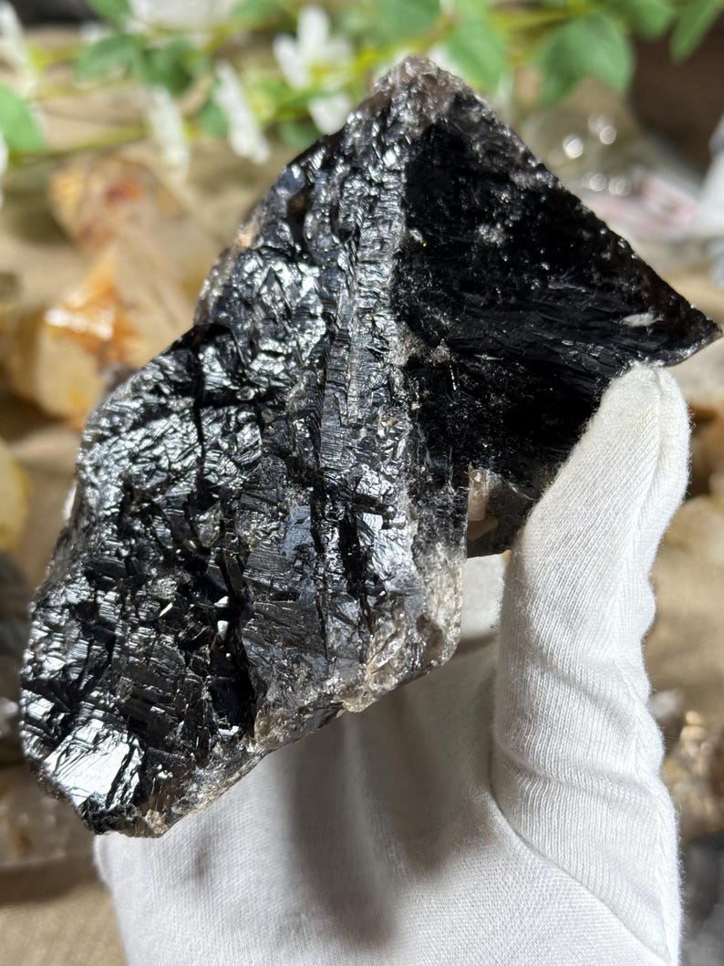 May include: A large, rough-hewn black crystal with a reflective, textured surface. The crystal is held by a gloved hand, showcasing its dark, shimmering facets. The natural mineral formation has a jagged, irregular shape.