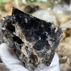 May include: A large, dark smoky quartz crystal with a rough, textured surface. The crystal has a deep black color with hints of brown and gold. The edges are sharp and angular, and the overall shape is irregular. The crystal is held in a white glove.